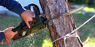 Lawn Irrigation Installation and Maintenance in Pinole, CA