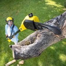 Best Aeration Services  in Pinole, CA